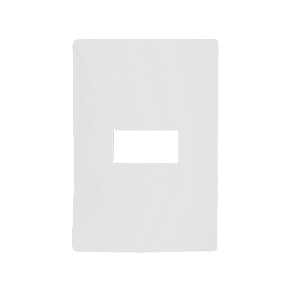 PLACA CEGA 96070 4X2 1MOD C/SUP I9